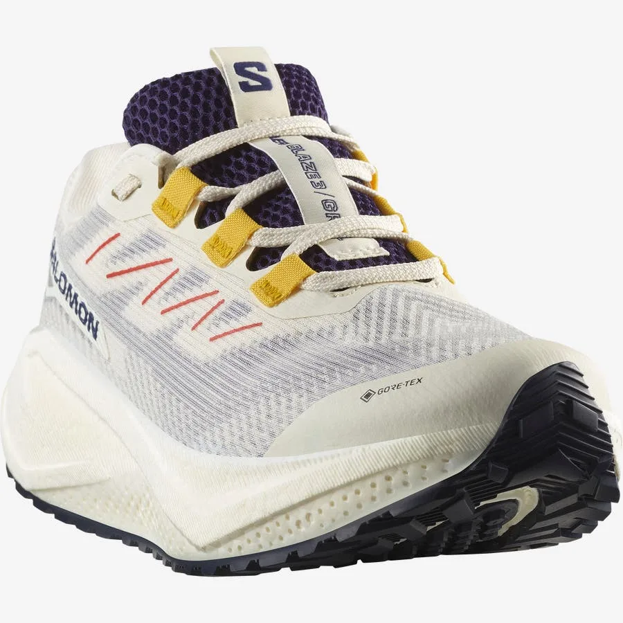 AERO BLAZE 3 GRVL GORE-TEX Jaune / Violet